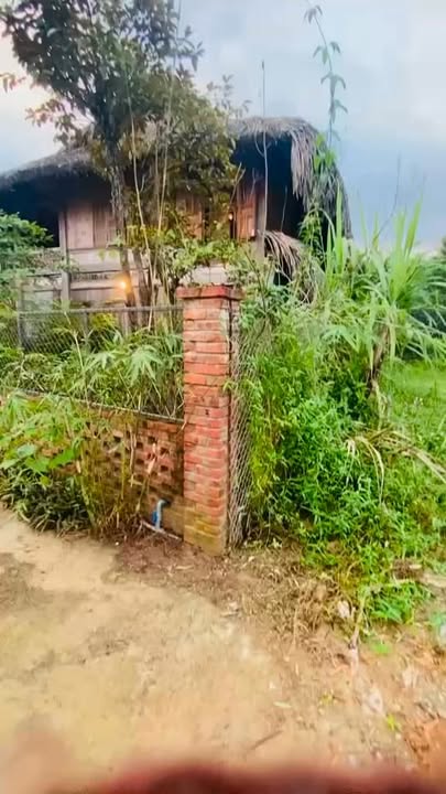 Nhà nguyên căn thôn Khương Mỹ, Đà Nẵng 150m² - Homestay view núi lý tưởng cho thuê!