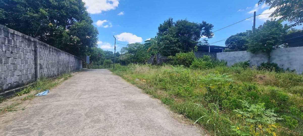 Đất thổ cư Hồ Tùng Mậu, Đồng Thuận 120m² - Giá chỉ 600 triệu, sẵn sàng xây nhà!