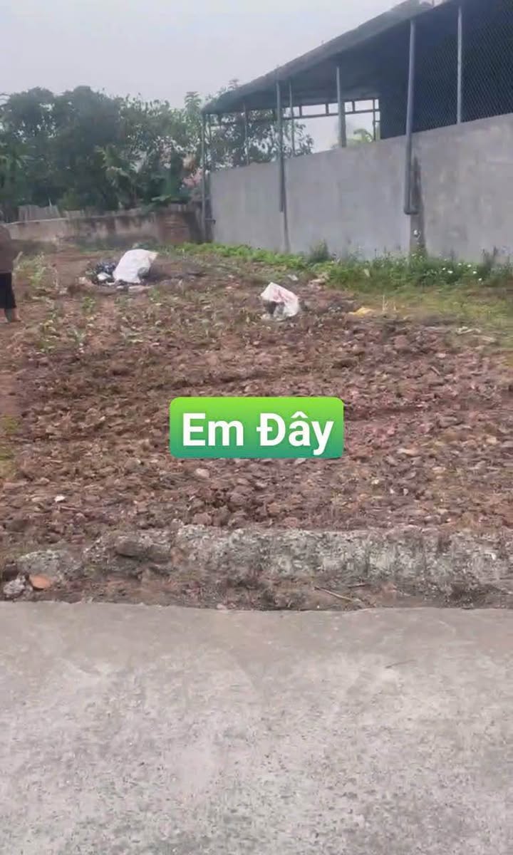 Lô đất thổ cư 111,6m² tại Thôn Yên Trung, Hưng Yên chỉ 2 tỷ - Cơ hội đầu tư tuyệt vời!