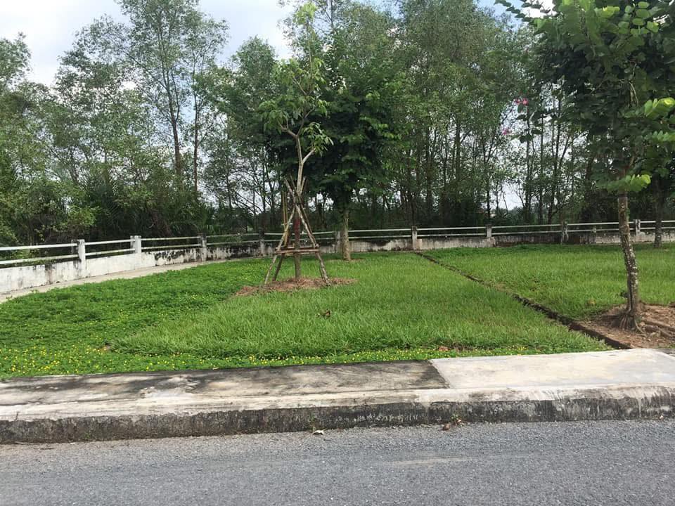 Đất mặt tiền đường Mỹ Thạnh An, Bến Tre 2049m² giá chỉ 5.12 tỷ - Cơ hội đầu tư hấp dẫn!