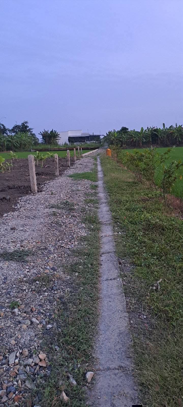 Đất nền Long Hưng - Gò Công, Tiền Giang 150m² giá 350 triệu - Cơ hội đầu tư hấp dẫn!