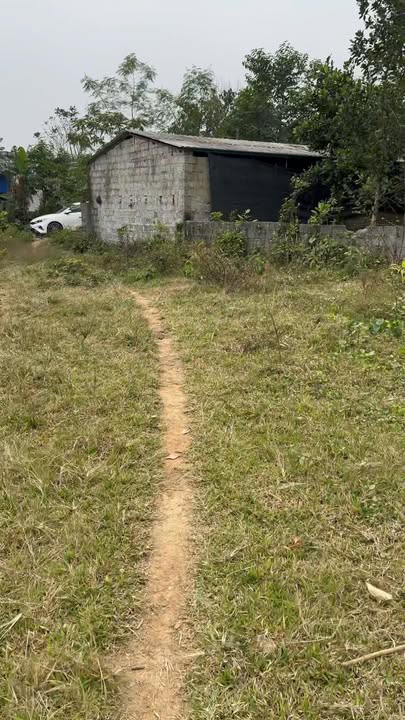 Đất nghỉ dưỡng 2500m² tại Mỵ Hòa, Kim Bôi - Giá chỉ 3 tỷ VND!