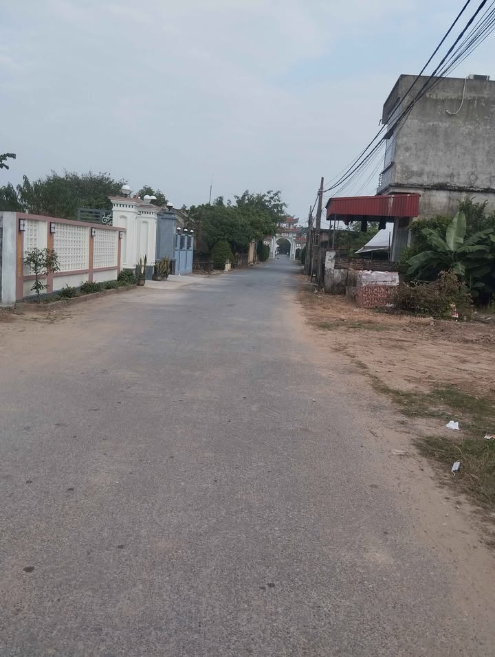 Lô đất trục thôn Tử Tế, xã Thanh Tân, Kiến Xương, 80m² giá 600 triệu - Cơ hội đầu tư sinh lời!