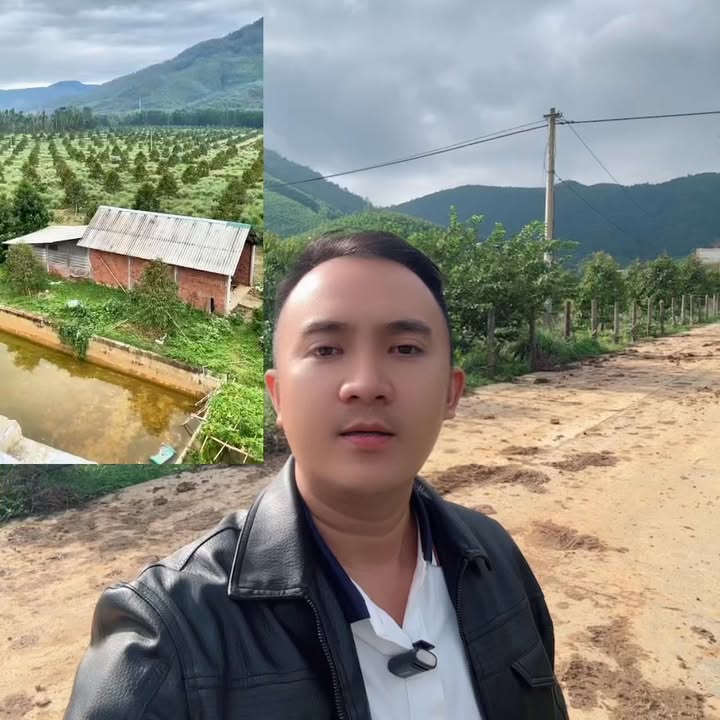 Đất trồng cây lâu năm Hoài Ân 38.414m² giá 1 tỷ - Cơ hội đầu tư hấp dẫn!