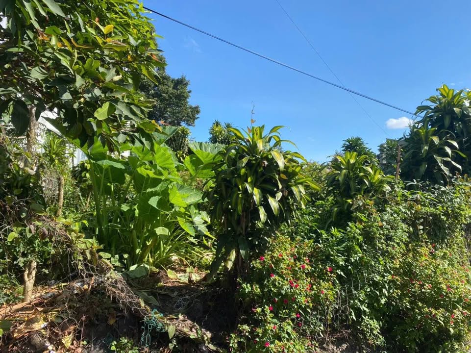 Đất nền mặt tiền đường Tứ Quý Lộc An 200m² giá 2.1 tỷ - Cơ hội đầu tư tuyệt vời!