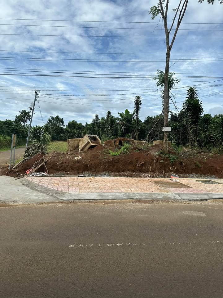 Đất nền Lộc Đức Bảo Lâm 520m² giá 2.5 tỷ - Chính chủ bán gấp!