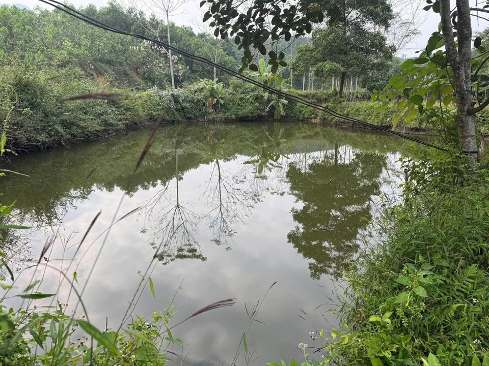 Đất vườn có ao Mỹ Yên, Đại Từ, Thái Nguyên 2000m² - Đầu tư lý tưởng!