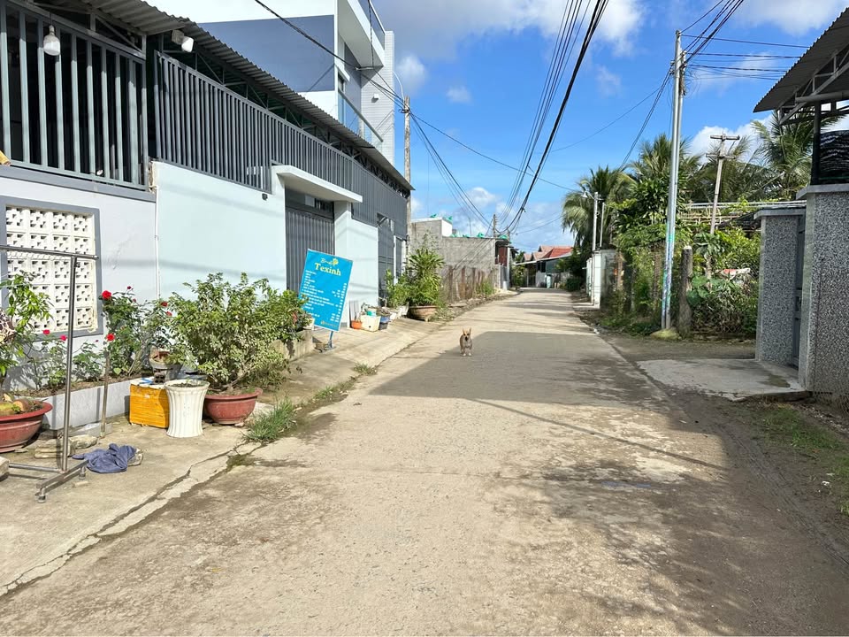 Đất nền Diên Điền mặt đường Rọc Chu 86m² giá 1.118 tỷ - Tiềm năng kinh doanh lớn!