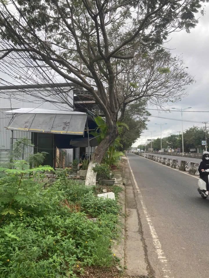 Đất nền mặt tiền Nguyễn Tất Thành, Phước Đồng, Nha Trang - Giá chỉ từ 2,95 tỷ