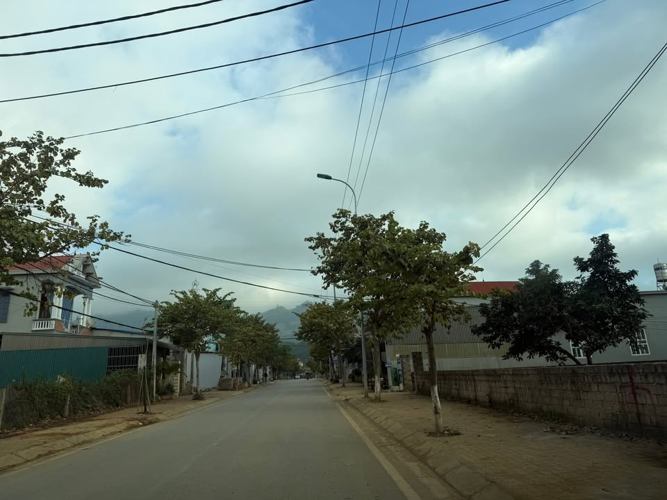 Đất nền Mộc Sơn Mộc Châu 231m² - Gần khu du lịch rừng thông Bản Áng!