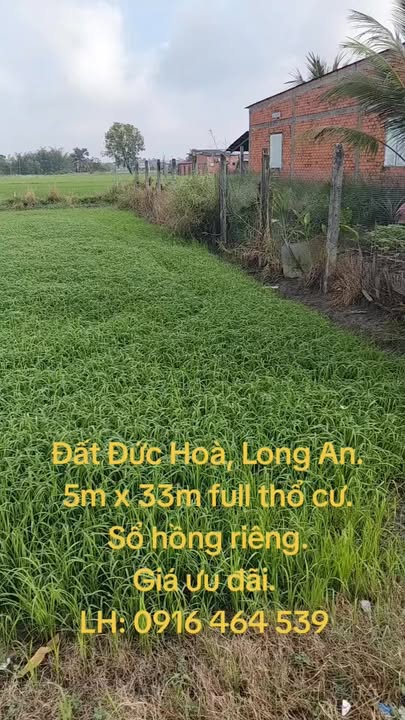 Đất thổ cư 165m² tại Ấp Bình Lợi, Đức Hòa - Sổ hồng riêng, giá 1.02 tỷ - Bán gấp!