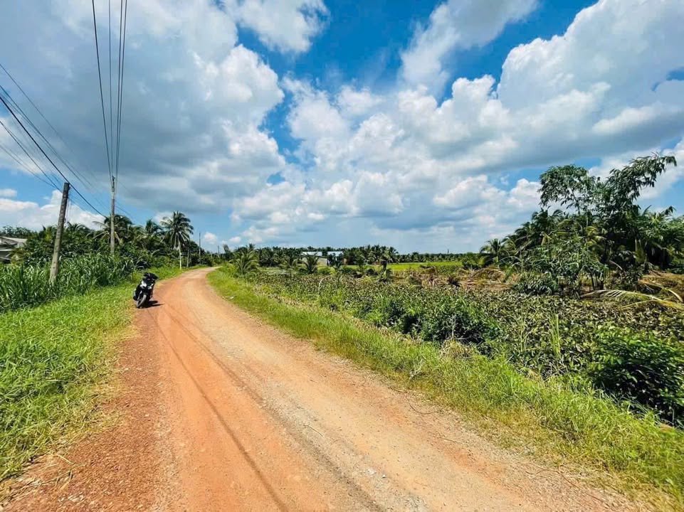 Đất mặt tiền đường Nguyễn Văn Quá, TP. Tân An, 673m² giá 800 triệu - Cơ hội đầu tư tuyệt vời!