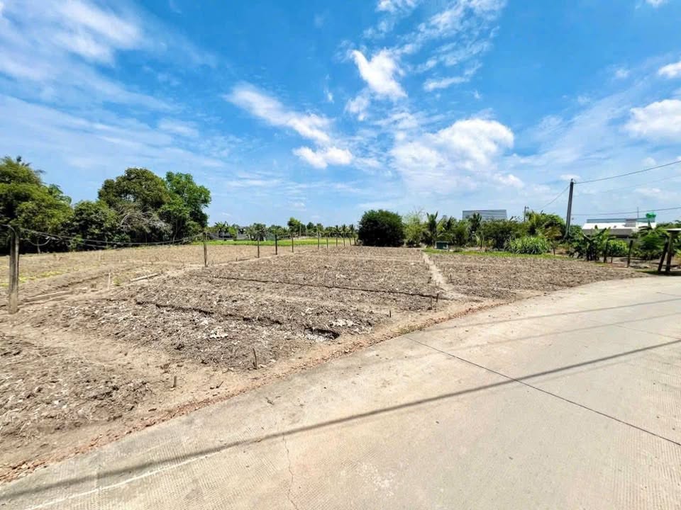 Đất nền thổ cư 1033m² tại xã Mỹ Lộc, Cần Giuộc - Giá 3.7 tỷ, sổ hồng riêng!