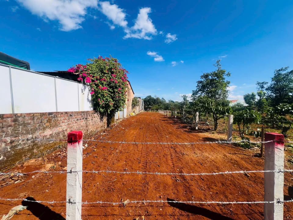 Đất mặt tiền Lương Ngọc Quyến, Pleiku 300m² giá 1.68 tỷ - Đầu tư lý tưởng!