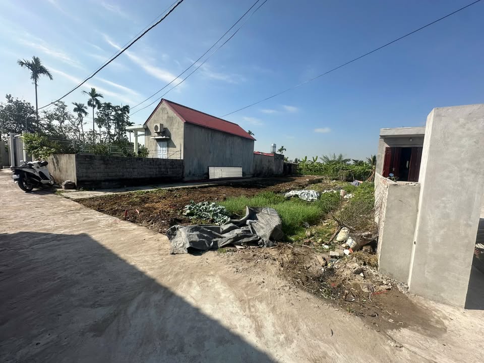 Đất thổ cư 151m² Hữu Bằng, Kiến Thụy giá chỉ 1 tỷ - Ô tô vào tận đất!