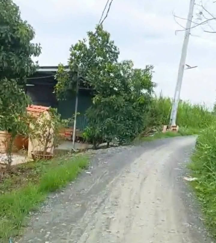 Đất vườn 2000m² tại Bình Đức, Bến Lức - Giá 2.2 tỷ, đường ô tô rộng rãi!