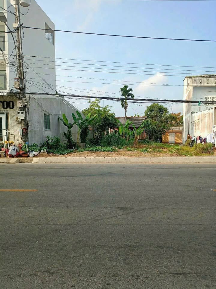 Đất nền đường tỉnh lộ 833, P5, Tân An 403m² giá 5.2 tỷ - Đầu tư sinh lời ngay!