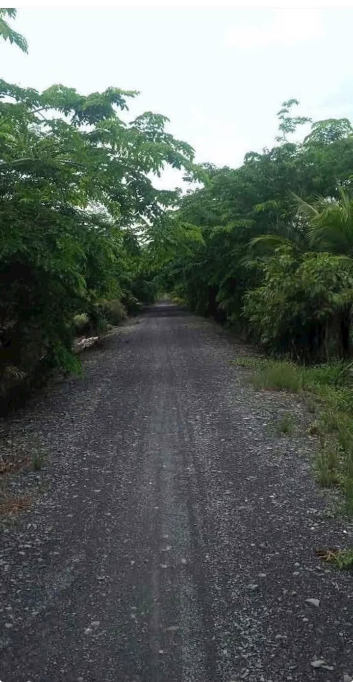 Đất vườn 800m² tại ấp 4 Lương Bình, Bến Lức - Chỉ 800 triệu, mặt tiền đường ô tô!