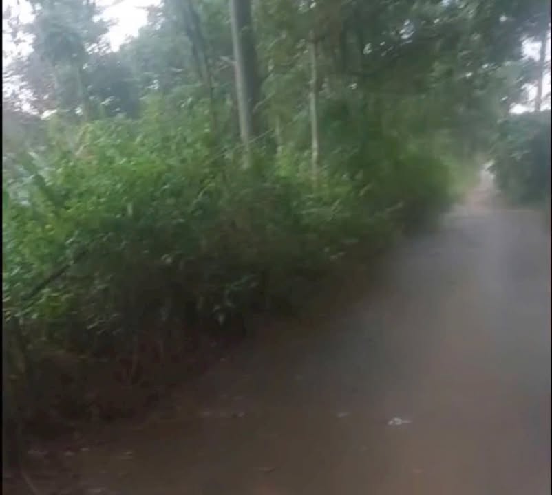 Đất nền Bàu Lâm, Xuyên Mộc 2,6 sào giá 1,3 tỷ - Đầu tư sinh lời ngay!