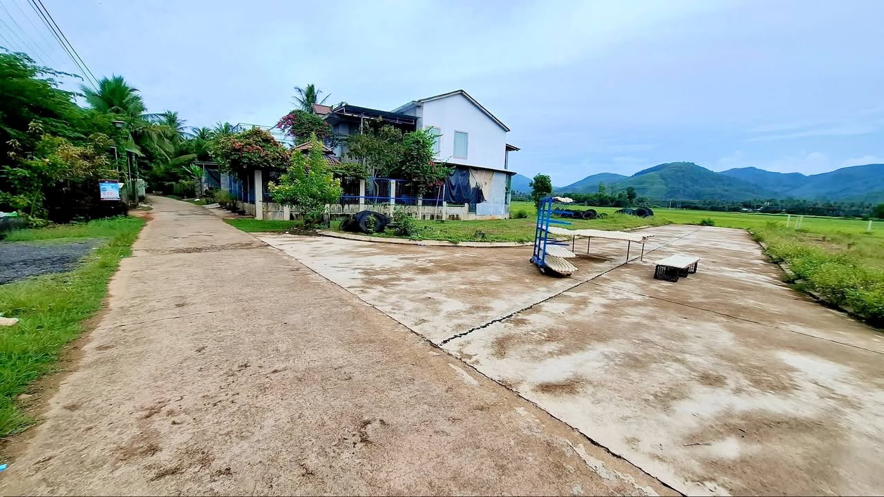 Lô đất Bồng Sơn, Hoài Nhơn 138m² giá 400 triệu - An cư lý tưởng cho các gia đình trẻ!