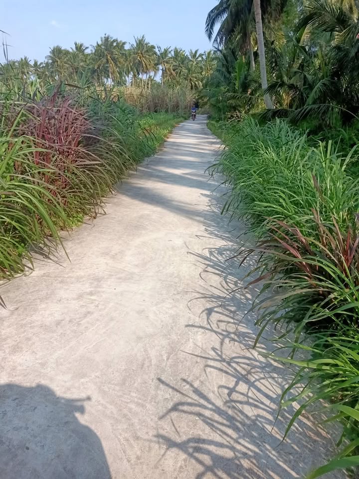 Đất nền Lương Thọ 2, Hoài Phú 900m² giá chỉ 100 triệu - Cơ hội đầu tư tuyệt vời!