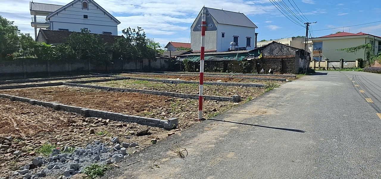 Đất Hùng Sơn, Hiệp Hoà, Bắc Giang 103m² giá 1.6 tỷ - Đầu tư sinh lời tốt!