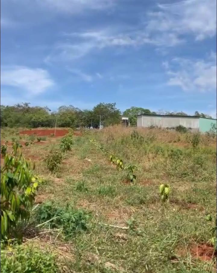 Đất nông nghiệp Đức Liễu Bù Đăng 3200m² giá 680 triệu - Đầu tư sinh lời ngay!