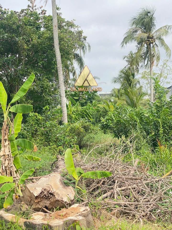 Đất nền Cà Mau 160m² giá 2.5 tỷ - Mặt tiền đường Hải Thượng Lãn Ông, cơ hội đầu tư tuyệt vời!