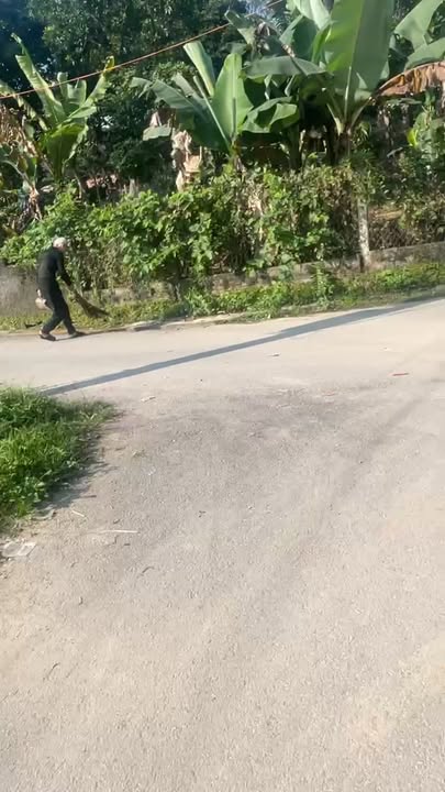 Đất 2 mặt tiền thị trấn Tây Sơn 121m² - Sổ đỏ chính chủ, vị trí đẹp!