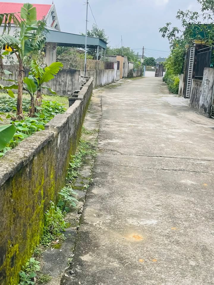 Lô đất Kỳ Hải 175m² giá 700 triệu - Cơ hội đầu tư tuyệt vời!