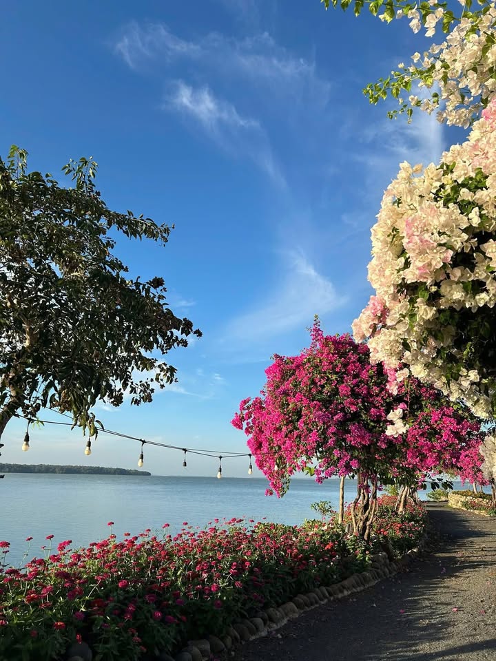 Đất thổ cư 152m² tại TDP Tiến Bộ, Thạch Hà - Giá chỉ 1.1 tỷ VND!