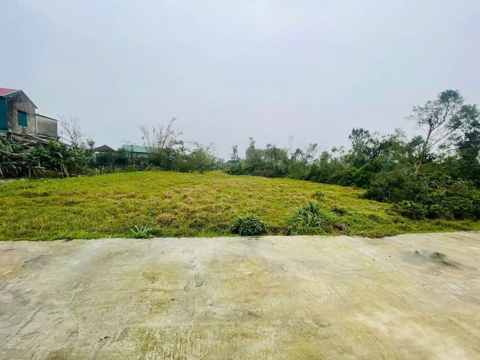 Đất thổ cư Thạch Xuân 140m² chỉ 380 triệu - Cơ hội đầu tư hấp dẫn!