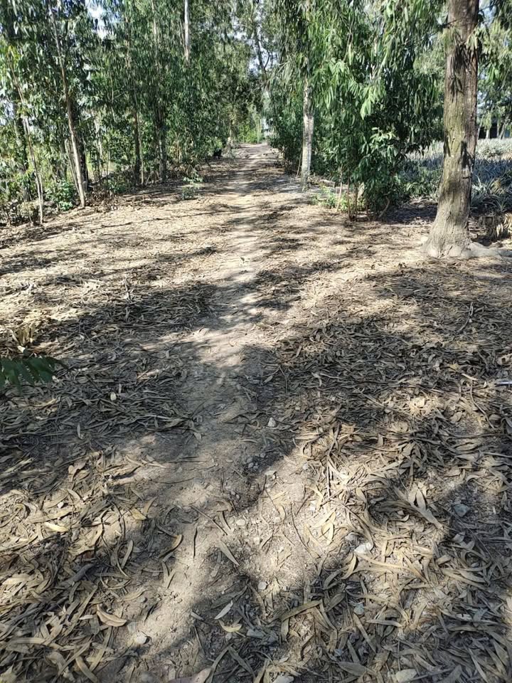 Đất nền Thạnh Tân, Tân Phước 140000m² giá 2.24 tỷ - Đầu tư sinh lời ngay!