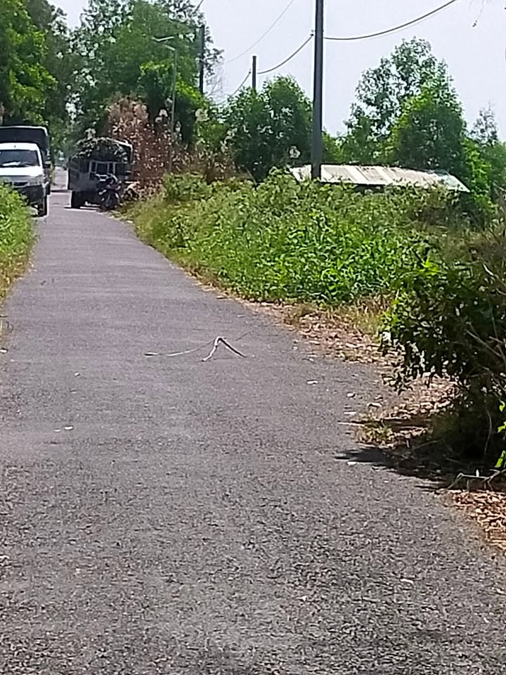 Đất mặt tiền đường nhựa Tân Phước, 7000m² giá 1.12 tỷ - Cơ hội đầu tư hấp dẫn!