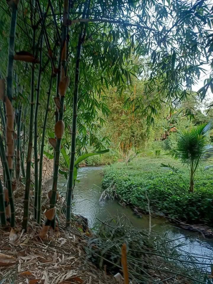 Đất nền Nghĩa Thành, Châu Đức 783m² giá 1.2 tỷ - View suối tuyệt đẹp!