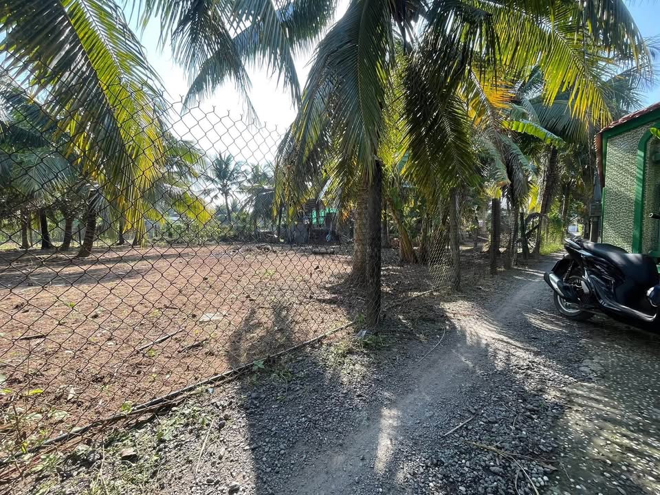 Đất nền Đông Hòa Châu Thành 162m² giá 420 triệu - Cơ hội đầu tư không thể bỏ lỡ!