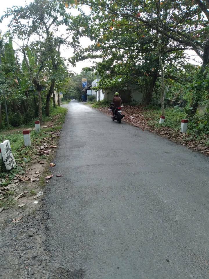 Đất nền Nhơn Thạnh, Bến Tre 1.538m² giá chỉ 4,5 triệu/m² - Cơ hội đầu tư tuyệt vời!