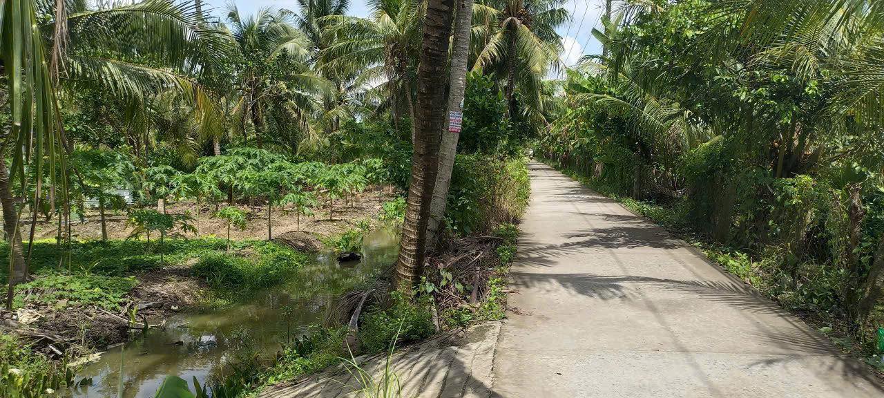 Đất nền Phú Mỹ Mỏ Cày Bắc 1400m² chỉ 750 triệu - Cơ hội đầu tư tuyệt vời!