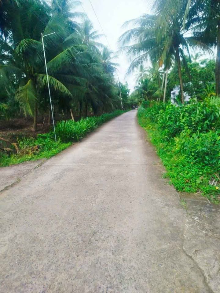 Đất mặt tiền Lương Hòa, Giồng Trôm 2000m² - Giá chỉ 1.6 tỷ VND, đầu tư tiềm năng!