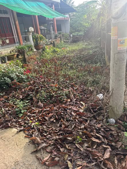 Đất mặt tiền Nhị Quý, Cai Lậy 128m² giá 180 triệu - Xây nhà ngay!