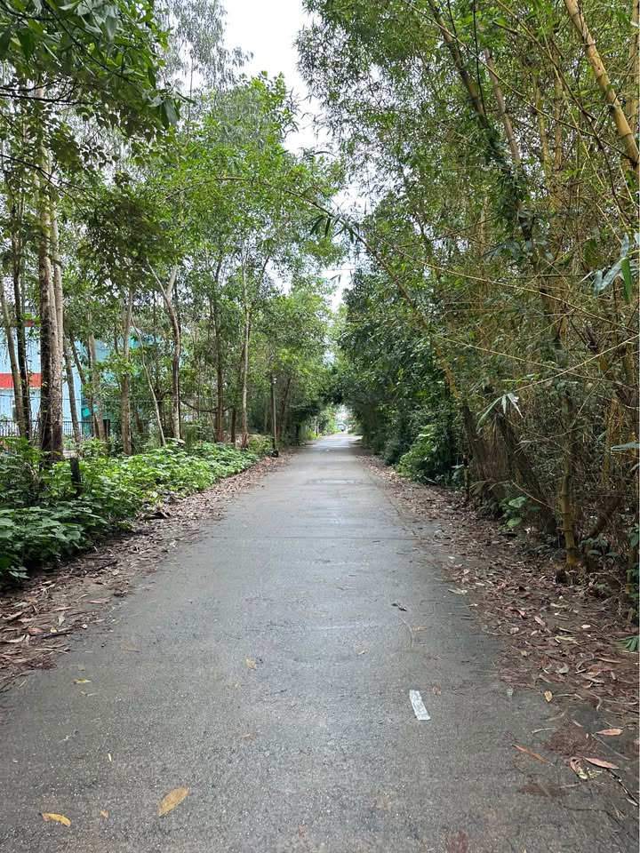 Nhà cấp 4 Hòa Hương 90m² giá chỉ 1.35 tỷ - Vị trí gần chợ, không ngập nước!