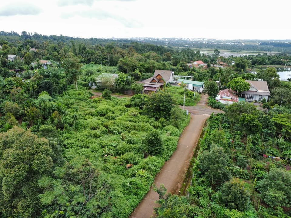Lô đất thổ cư Hòa Thắng, Buôn Ma Thuột 500m² giá 1.92 tỷ - Đầu tư sinh lời ngay!
