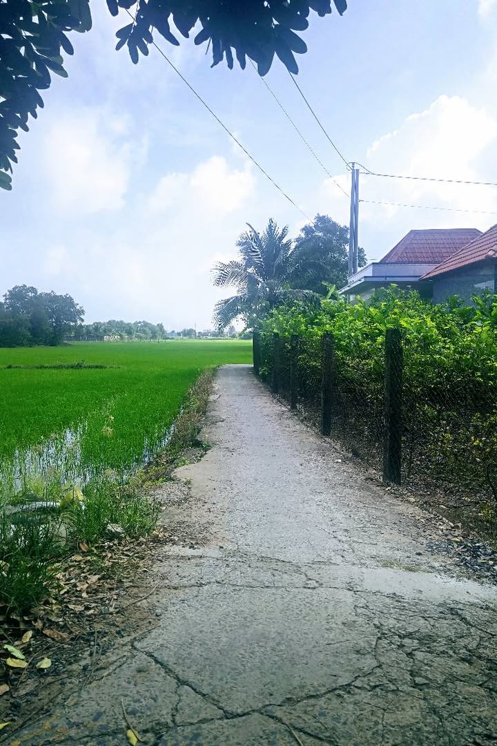 Đất thổ cư 200m² tại ấp Chánh Long Hiệp, Bến Lức, Long An - Gần KCN Phúc Long, giá chỉ 1,7 tỷ!