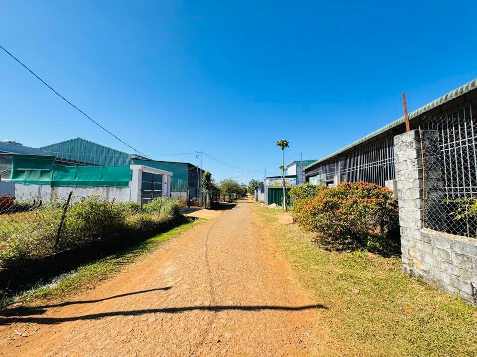 Đất thổ cư 540m² đường Phan Đình Phùng, Pleiku - Giá chỉ 1.9 tỷ!