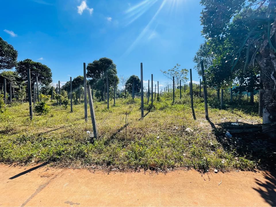 Đất liền kề Nguyễn Tuân, An Phú, 175m² chỉ 699 triệu - Cơ hội đầu tư tuyệt vời!