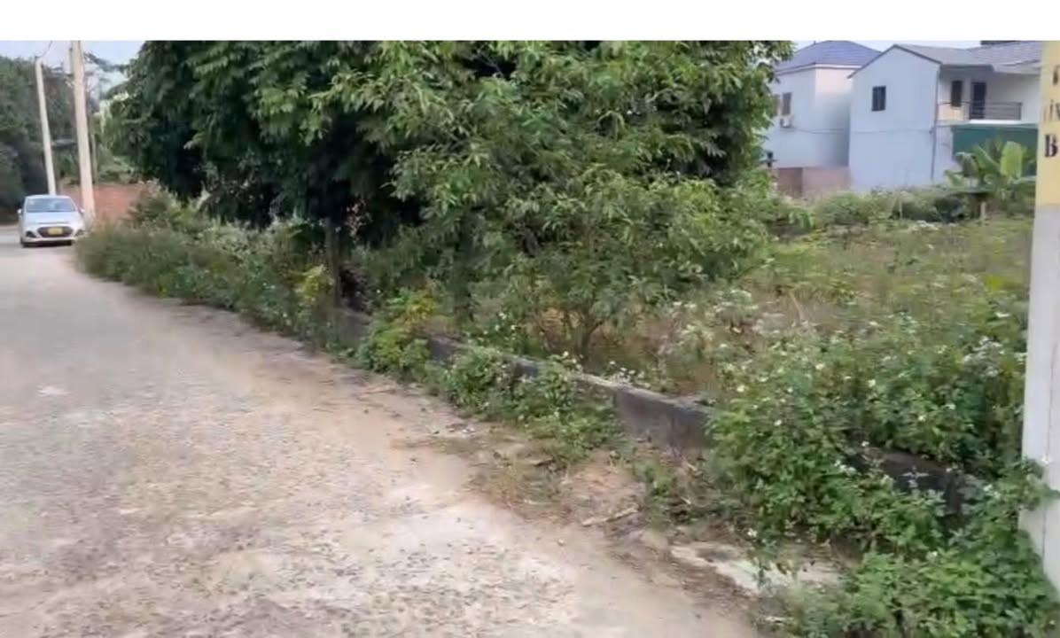 Đất thổ cư 726m² tại thôn Kim Bông, Tân Xã, 23.3 tỷ - Cơ hội đầu tư hiếm có!