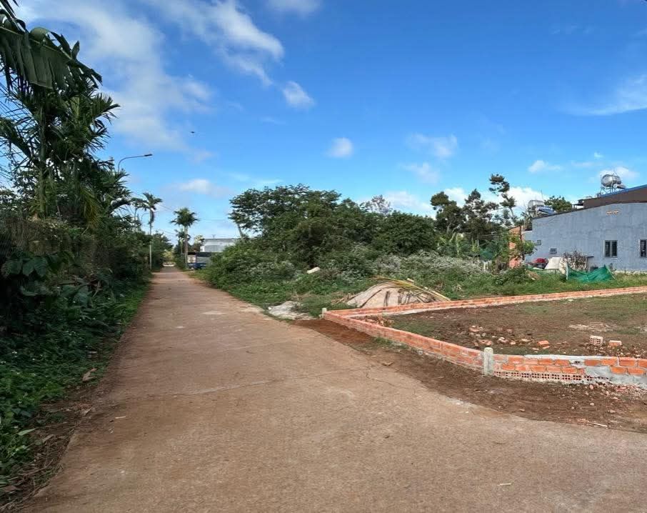 Đất nền mặt tiền đường N10, Tân An, Buôn Ma Thuột 250m² giá 2.5 tỷ - Cơ hội đầu tư lý tưởng!