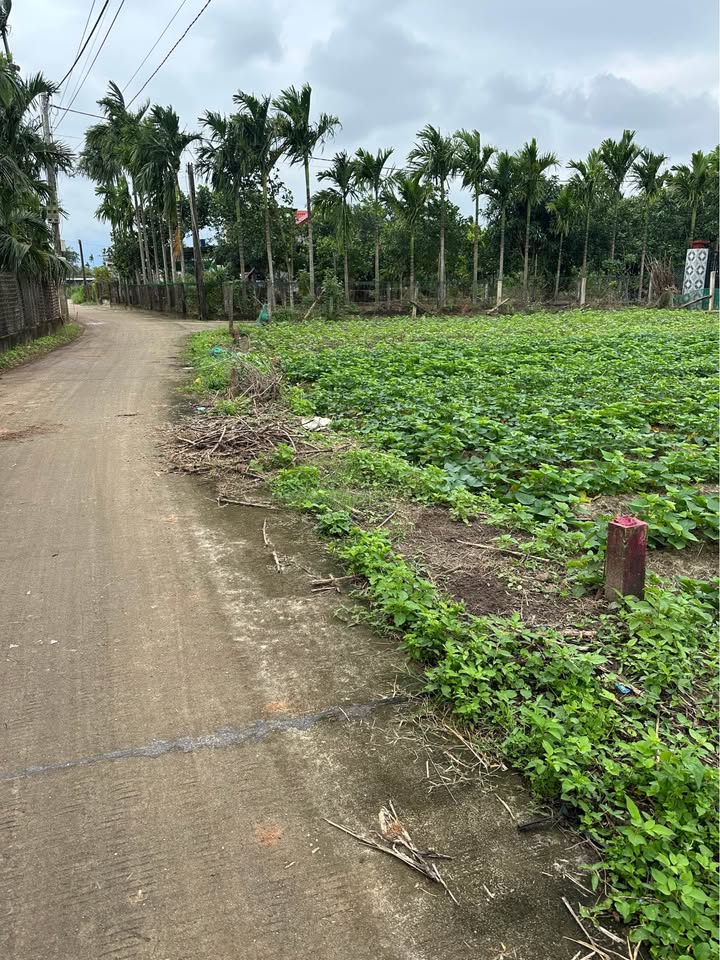 Đất nền Đức Minh Mộ Đức 134m² giá chỉ 3xx triệu - Cơ hội đầu tư hấp dẫn!