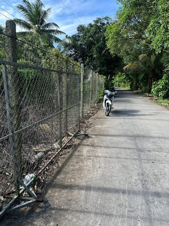 Đất nền Biệt thự nghỉ dưỡng Tân Thạnh 950m² giá 1 tỷ - View sông thoáng mát!