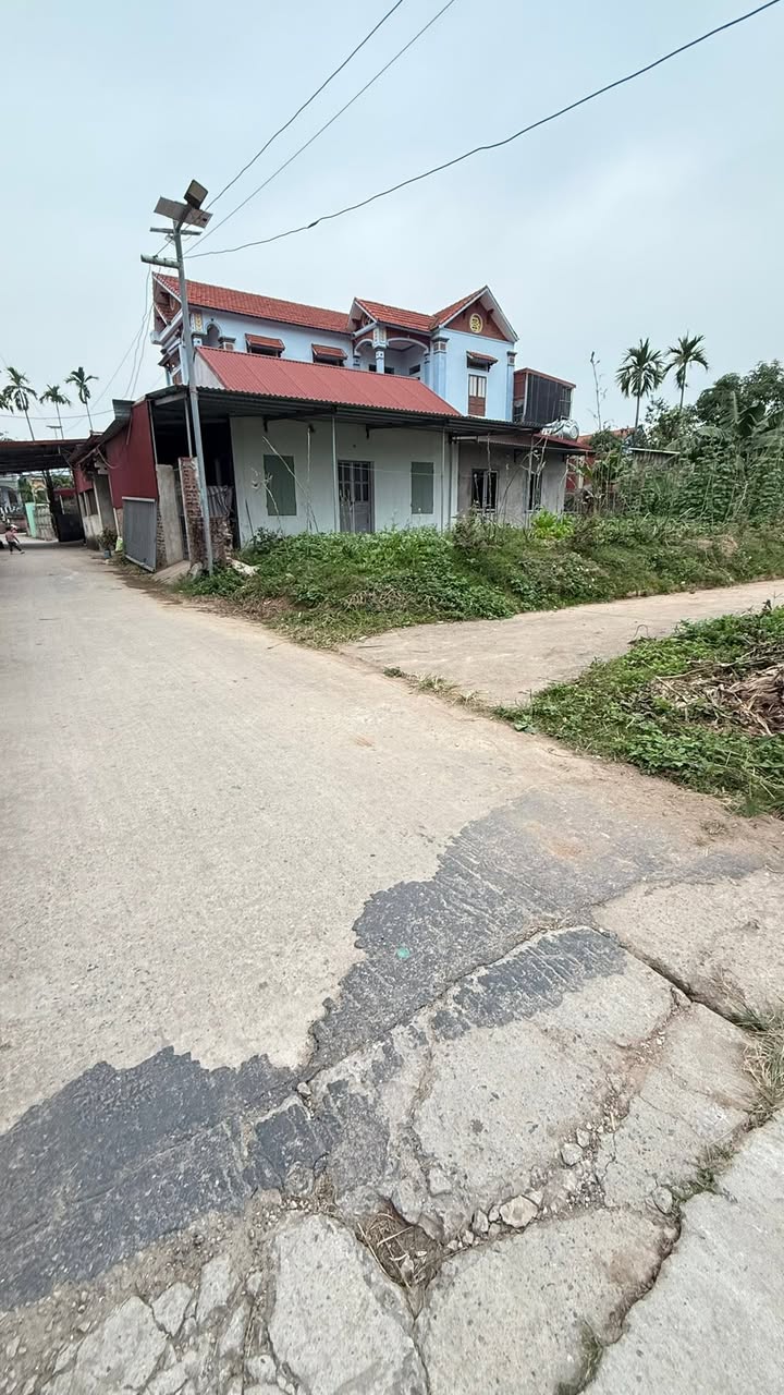 Đất nền Đại Lai, Gia Bình 150m² giá 1.3 tỷ - Cơ hội đầu tư hấp dẫn!